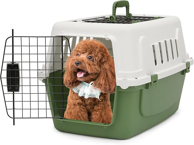 Carriers & Travel Products