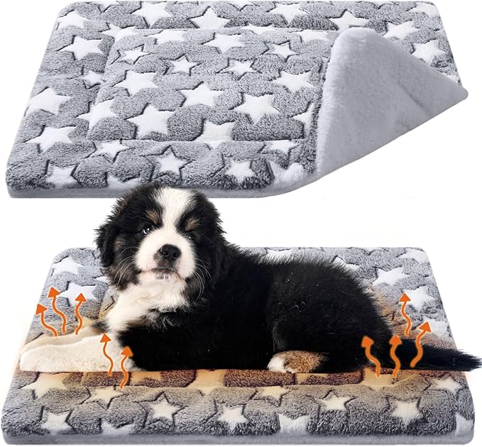 Beds & Furniture