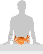 Jolly Pets Escali Arti 157SB Precision Glass Surface Kitchen, Crab, Large, JTA64