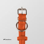 CollarDirect Rolled Leather Dog Collar, Soft Padded Round Puppy Collar, Handmade Genuine Leather Collar Dog Small Large Cat Collars 13 Colors (13-16 Inch, Orange Textured)