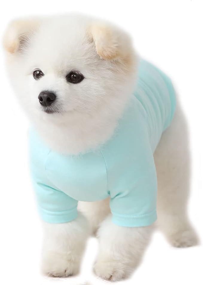 Dog Shirt for Small Dogs Plain T-Shirts Soft Breathable Dog Cotton Shirt pet Clothes (Medium, Mint)