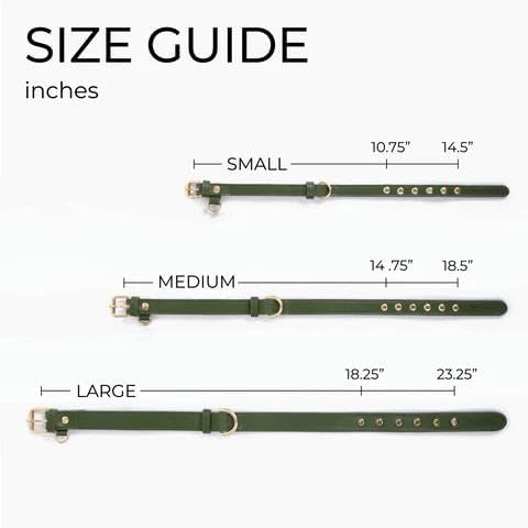 Two Tails Pet Company Cactus Vegan Leather Dog Collar, Adjustable Pet Collar with Gold Hardware and D Rings for Leash and ID Tag for Dogs and Puppies, Easy to Clean & Eco Friendly, Green, Size Small