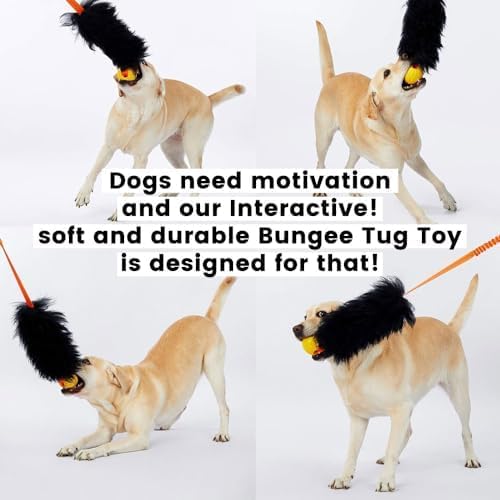 HOWGO Dog Rope,Dog Bungee Chaser 100% Sheepskin,Sheep Smell Tug for All Breeds(Purple, Long Without Ball 2Pack)