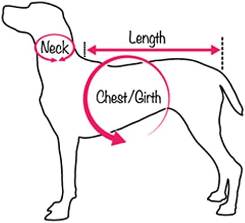 MLB Detroit Tigers Dog T-Shirt, Small. - Licensed Shirt for Pets Team Colored with Team Logos. - Premium Stretchable Materials for The Comfort of Your Dog & cat.