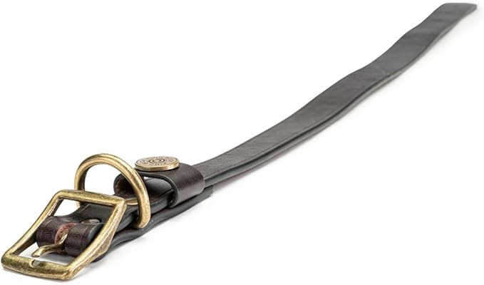 King Buck Premium Leather D Ring Dog Collar, Leather, M/L