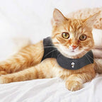 ThunderShirt For Cats, Grey, Large ( > 13 lbs)