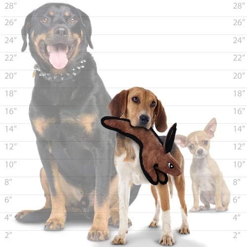 TUFFY - World's Tuffest Soft Dog Toy - Barnyard Duck - Squeakers - Multiple Layers. Made Durable, Strong & Tough. Interactive Play (Tug, Toss & Fetch). Machine Washable & Floats. (2 Combo Pack)