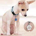 Cute Personalized Pet Name Tags for Cats/Dogs - Glitter Custom pet id tag, Dog id Tags Engraved for Pets, cat tag, pet Collar Charms, Dog Name tag (Paw-Shaped-Small: Silver)