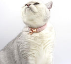 Pink Personalized Cat Collar with Name Tag & Bells Optional Bow-tie Cute Cat Collars for Girls Cats, Soft Durable Custom Kitten Collars for Small Large Cats(Pink)