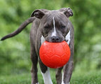 Jolly Pets Medium Soccer Ball Floating-Bouncing Dog Toy, 6 inch Diameter, Orange (SB06 OR)