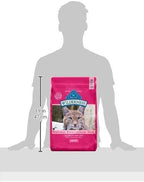 Blue Buffalo Wilderness Natural High Protein, Grain Free Dry Food for Adult Cats, Salmon, 11-lb Bag