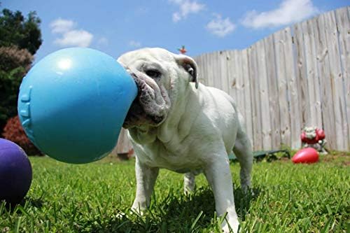 Jolly Pets Bounce-n-Play Dog Toy Ball, 8 Inches/Large, Blueberry, (Model: 2508 BB)