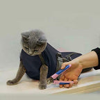 Cinf Cat Nail Clipping Cleaning Grooming Restraint Bag No Scratching Biting for Bathing Nail Trimming Injecting Examining(Black,S)