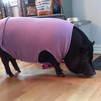 Gooby Stretch Fleece Vest Dog Sweater - Burgundy, 6X-Large - Warm Pullover Super Stretchy Fleece Dog Jacket for Small to Large Dogs