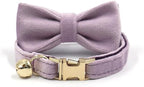 Personalized Cat Collar with Bells,Velvet Customized Small Cat Collar with Name Tag,Pet Collar with Name Phone Number Engraved ID Tags for Boy and Girl Kitten Cats (Purple)