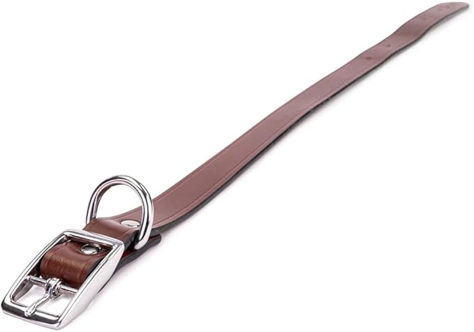 King Buck Leather Dog Collar with D Ring, Leather, Large