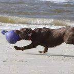 Jolly Pets Tug-n-Toss - Heavy Duty Chew Ball w/ Handle (Blue, 6") for Medium Breeds