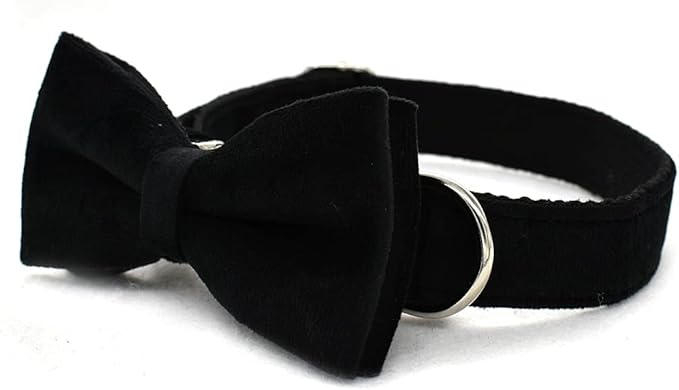 Dog Collar Custom Personalized Engraved Name and Phone Number for Puppy Small Medium Large Pets (S, Black)