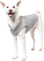 Gooby Fleece Vest Dog Sweater - Gray/Yellow, Medium - Warm Pullover Fleece Dog Jacket with O-Ring Leash for Small to Medium Dogs