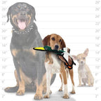 TUFFY - World's Tuffest Soft Dog Toy - Barnyard Duck - Squeakers - Multiple Layers. Made Durable, Strong & Tough. Interactive Play (Tug, Toss & Fetch). Machine Washable & Floats. (Junior 2 Pack)