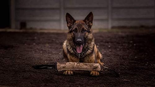 Dingo Gear, Natural Jute tug Toy for Dog Training Agility tug of war, Bumper Toy Dog bite, 2 Handles 16" S00148