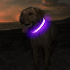 MASBRILL Light Up Collar, LED Rechargeable Glow Flashing Night Collar, Waterproof, 4 Colors, 3 Sizes for Small to Large Dogs (S(0.98 * 15.75"), Purple)