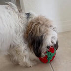 Glory To Dog Puppy and Medium Breed Snuffle Interactive Foraging Dog Puzzle Ball Toy Christmas Green and Red Large