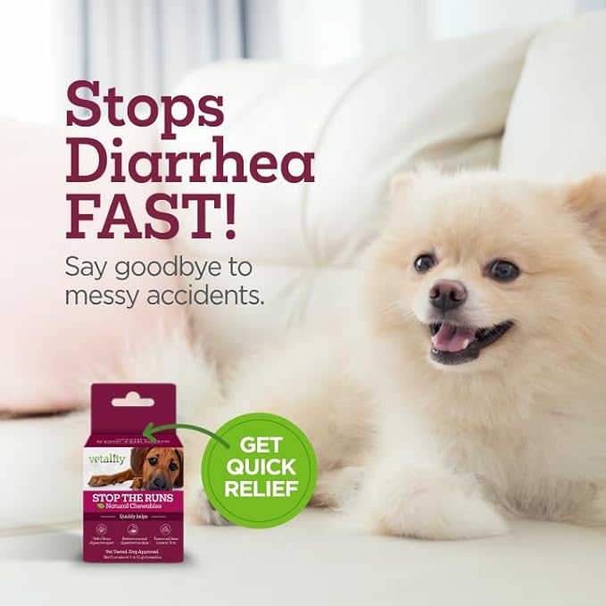 Vetality Stop The Runs | Dog Anti Diarrhea Medicine | 6 Count Chewable | Chicken Flavor