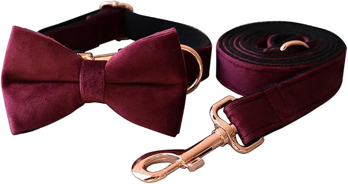 Dog Collar Custom Personalized Engraved Name and Phone Number for Puppy Small Medium Large Pets (M, Red Wine)