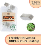 Whiskertons Interactive Bird Simulation Cat Toy Set, Interactive Cat Toys for Indoor Cats, Cat Feather Toy, Self-Holding Suction Base, 5 Catnip Birds, Feathers & Bells (5 Replacement Catnip Birds)