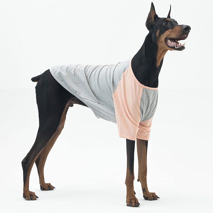 Dog Shirt for Small and Large Dogs Raglan Cotton T-Shirts Soft Breathable Dog Shirts pet Clothes Gray Series (3X-Large, Gray/Peach)