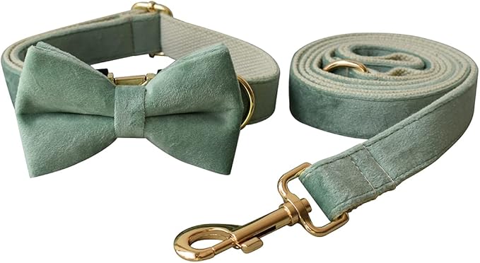 Dog Collar Custom Personalized Engraved Name and Phone Number for Puppy Small Medium Large Pets (S, Fruit Green)