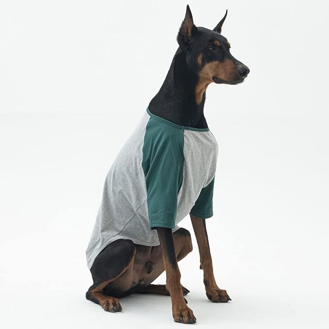 Dog Shirt for Small and Large Dogs Raglan Cotton T-Shirts Soft Breathable Dog Shirts pet Clothes Gray Series (5X-Large, Gray/Green)