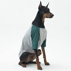 Dog Shirt for Small and Large Dogs - Raglan Cotton T-Shirt - Soft, Breathable - Gray/Green - 2X-Large