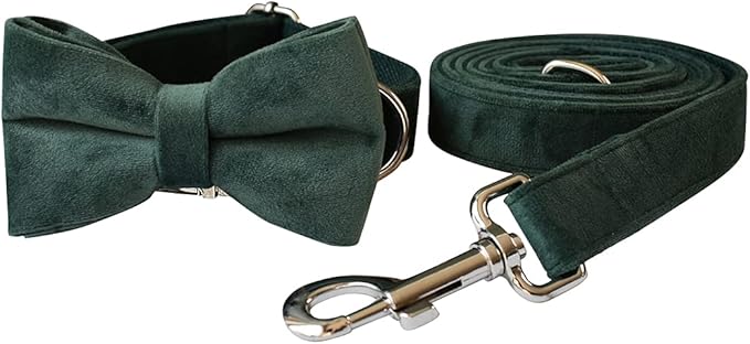 Dog Collar Custom Personalized Engraved Name and Phone Number for Puppy Small Medium Large Pets (L, Green)