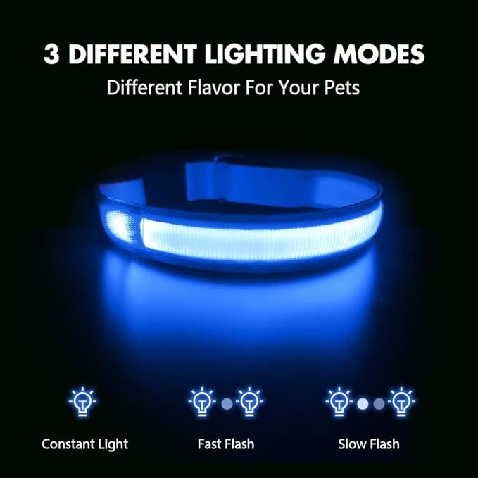 MASBRILL Led Dog Collar - Light Up, Night Walking, Water-Resistant Blue Glowing Collar 4 Colors to Choose From