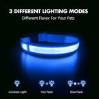 MASBRILL Led Dog Collar - Light Up, Night Walking, Water-Resistant Blue Glowing Collar 4 Colors to Choose From