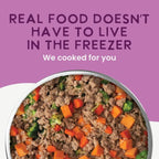 Health Extension Gently Cooked Lamb & Carrot Dog Food, Human-Grade & Shelf-Stable with Superfoods, Supports Digestion, Immunity, Skin & Coat, 9 oz Pouch (Pack of 10)
