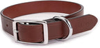 King Buck Leather Dog Collar with D Ring, Leather, Meduim