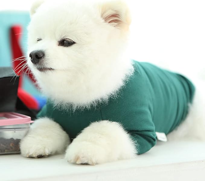 Dog Shirt for Small Dogs Plain T-Shirts Soft Breathable Dog Cotton Shirt pet Clothes (Large, Green)
