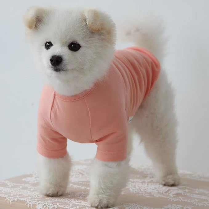 Dog Shirt for Small Dogs Plain T-Shirts Soft Breathable Dog Cotton Shirt pet Clothes (Large, Peach)