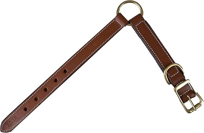| Genuine Leather Adventure Dog Collar | Full Grain, Heavy Duty | with Inner Cushioned Padding | Best for Medium, Large & XL Dogs (X-Large (Fit Neck Size 22"-26"), Brown with Center O Ring)