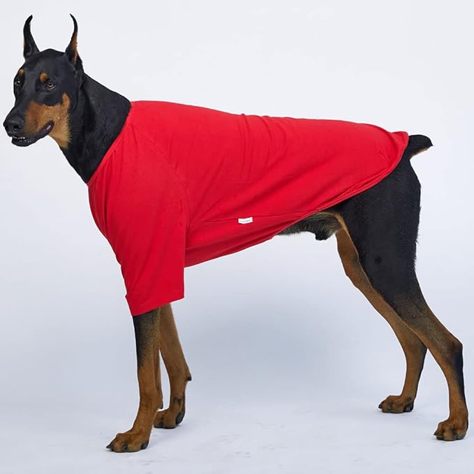 Dog Shirt for Small Dogs Plain T-Shirts Soft Breathable Dog Cotton Shirt pet Clothes (2X-Large, Red)
