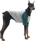 Dog Shirt for Small and Large Dogs - Raglan Cotton T-Shirt - Soft, Breathable - Gray/Green - 2X-Large