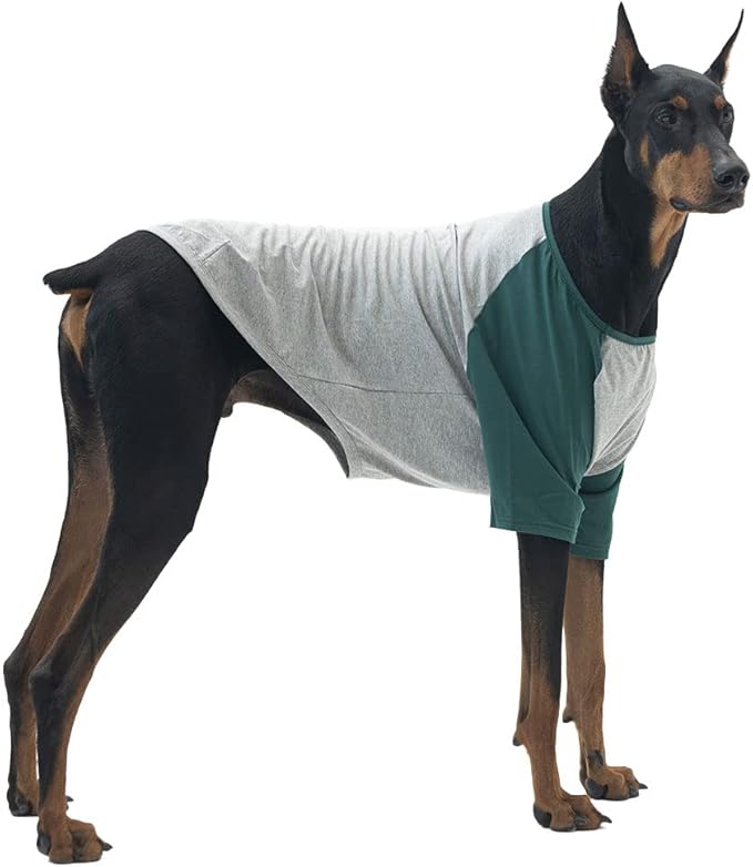 Dog Shirt for Small and Large Dogs Raglan Cotton T-Shirts Soft Breathable Dog Shirts pet Clothes Gray Series (3X-Large, Gray/Green)