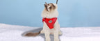 Cat Harness and Leash for Walking, Kitten Escape Proof Harnesses, Adjustable Reflective Puppy Harness with Leashes Set, Easy Adjustable Soft net Breathable Pet Safety Vest