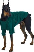 Dog Shirt for Small Dogs Plain T-Shirts Soft Breathable Dog Cotton Shirt pet Clothes (2X-Large, Green)