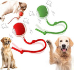 2 Packs New Electric Dog Ball Toy for Cat,360° Smart Automatic Interactive Rolling Dog Smart Pet Toy Ball,Gift for Kids