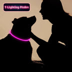 Weewooday 3 Pcs Dog Collar LED USB Rechargeable Lights Dog Necklace Collars Doggy Lights for Night Walking Adjustable Safety Lamp Pet Collars for Large Medium Small Puppy Pet(3 Colors,Classic Style)