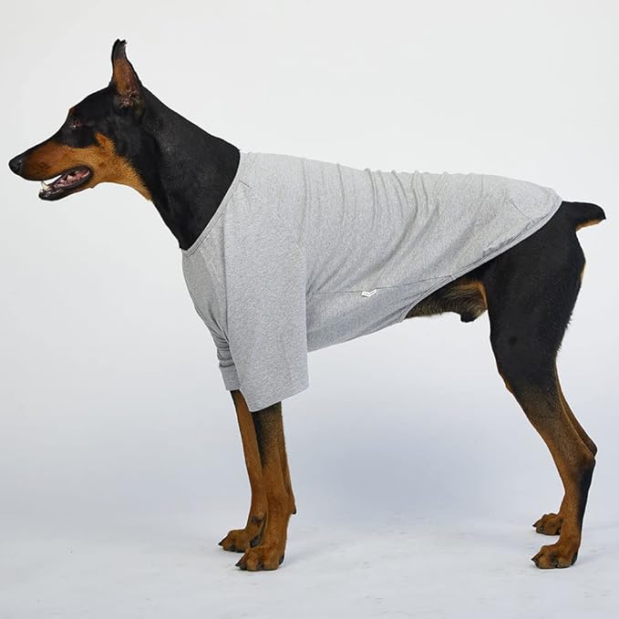 Dog Shirt for Small Dogs Plain T-Shirts Soft Breathable Dog Cotton Shirt pet Clothes (2X-Large, Gray)